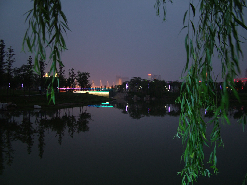 龙湖夜色 摄影 夏日斜阳