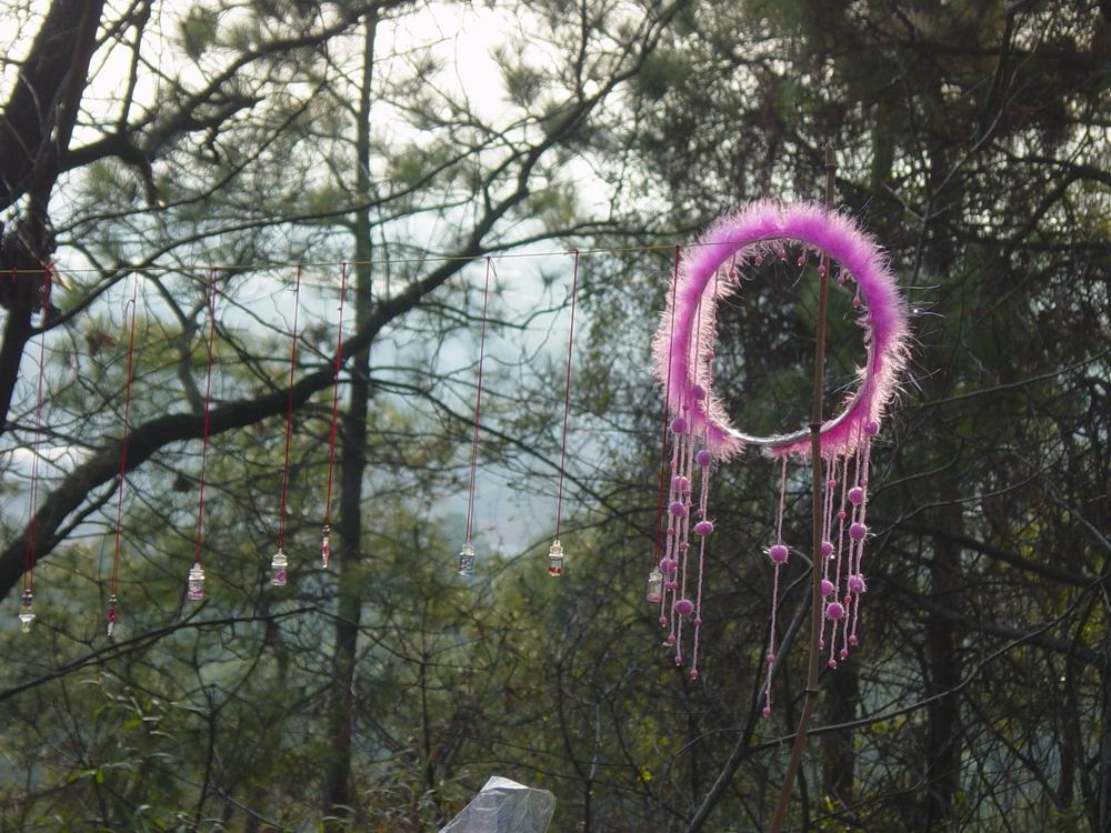 小圈 摄影 水边益清