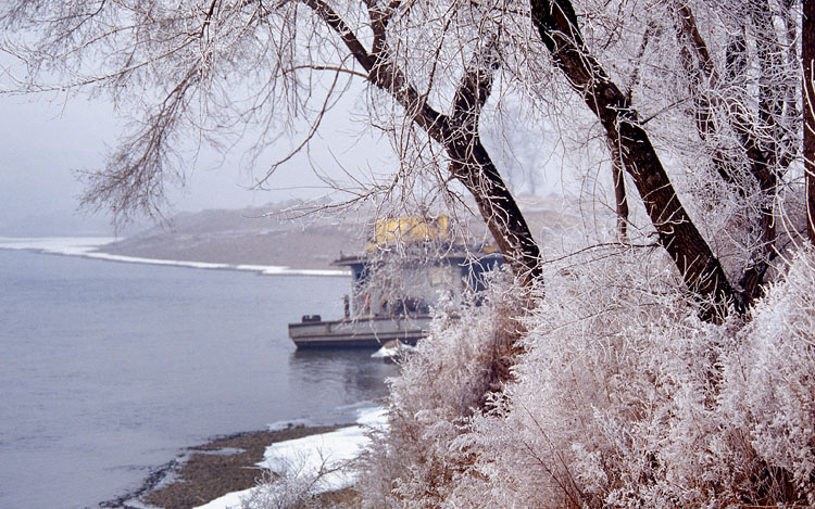 2007探访雪世界--琼枝 摄影 不鸣