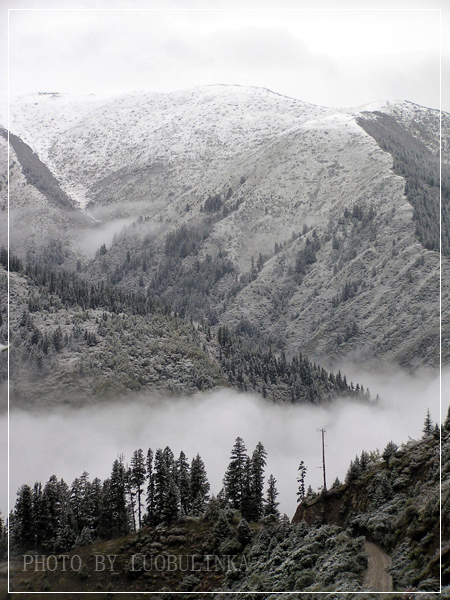 雪中鹧鸪山 摄影 罗布林卡