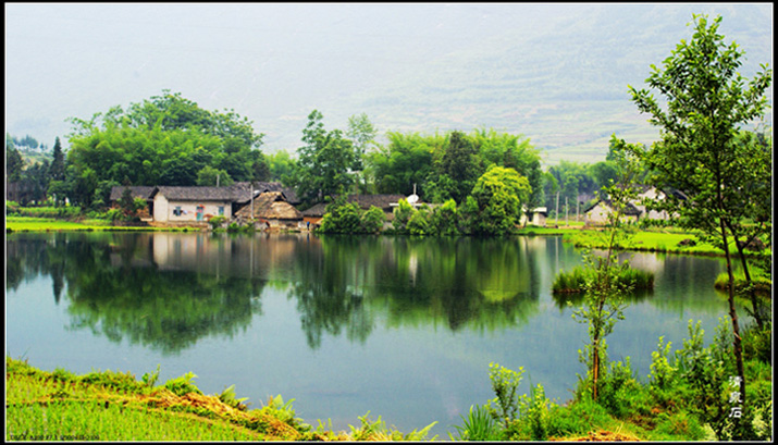 田园小景（3） 摄影 清泉石