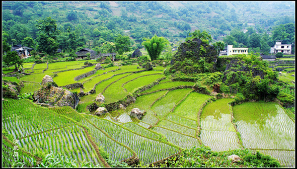 田园小景（4） 摄影 清泉石