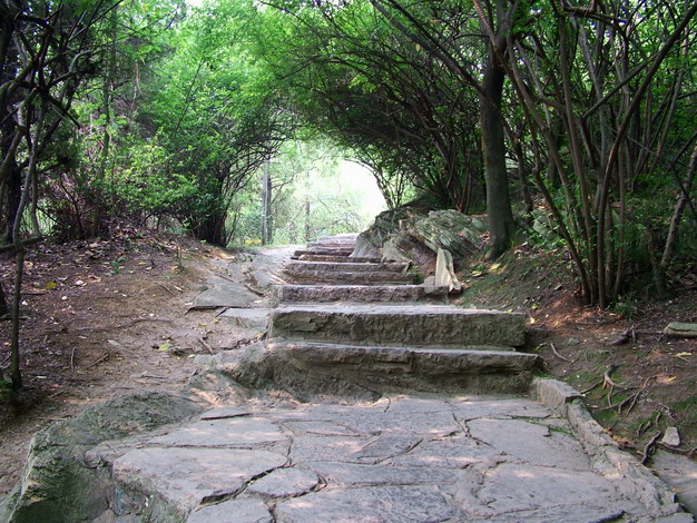 横桷古道 摄影 兰也