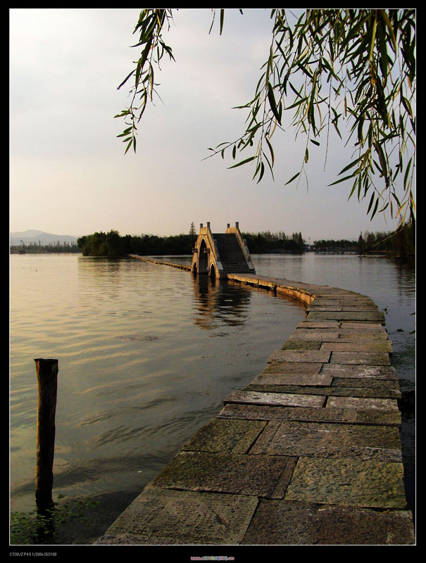 绍兴古纤道 摄影 艺圃花匠