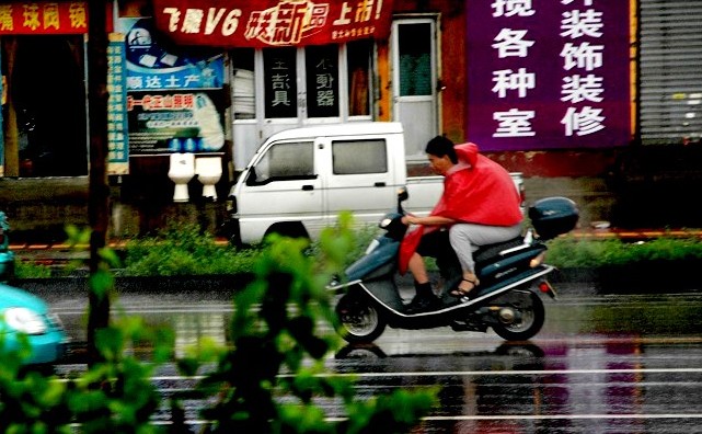 雨中情 摄影 城市猫眼