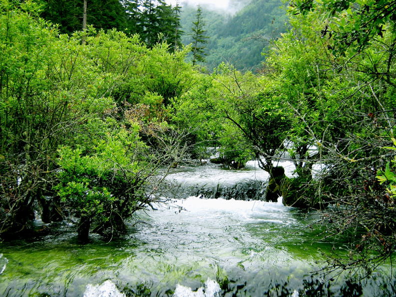 林间水潺潺 摄影 弓长木子