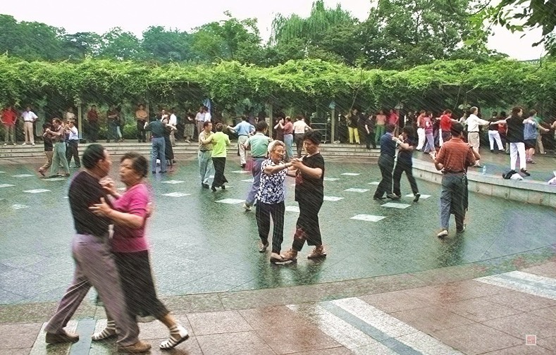 平民百姓之六——晨雨晨舞 摄影 瑜伽