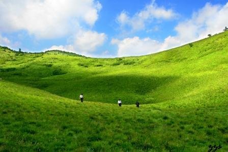 高山草甸 摄影 紫竹山