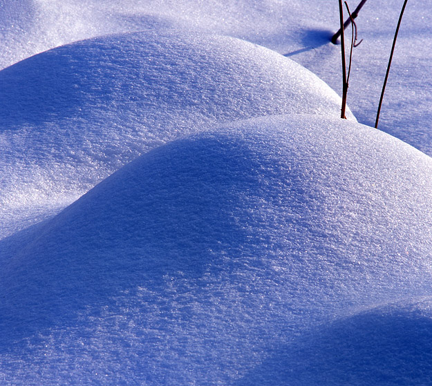 2007探访雪世界--孕(一) 摄影 不鸣