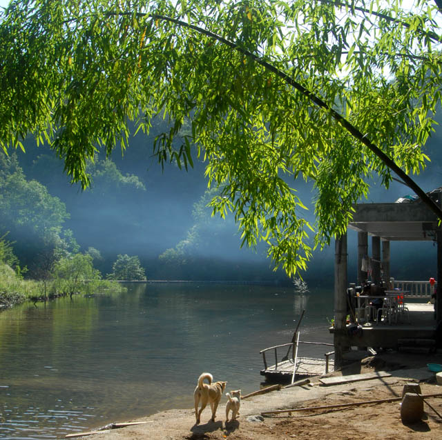 小景 摄影 山谷的风