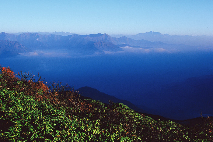 远山 摄影 那人