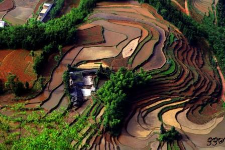 大地指纹 摄影 紫竹山