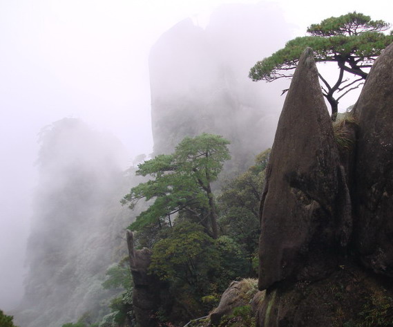 雾海归途 摄影 黄山草