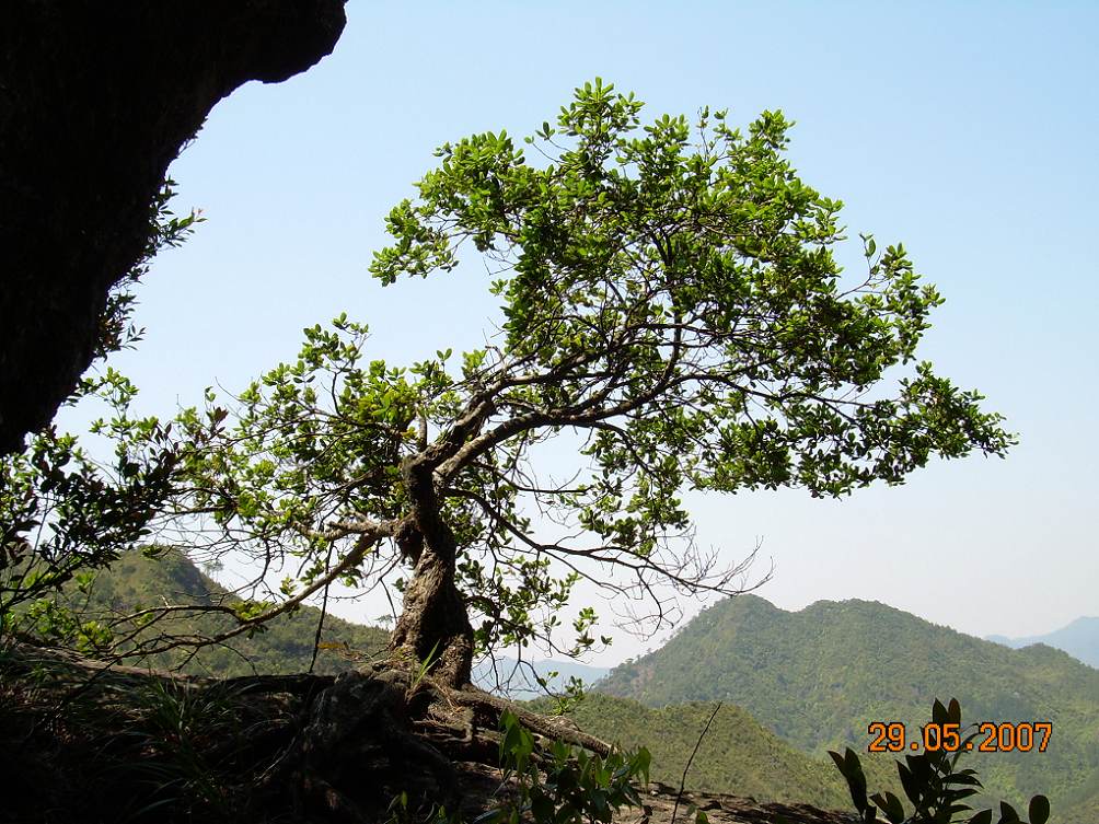 顽强 摄影 它山之石