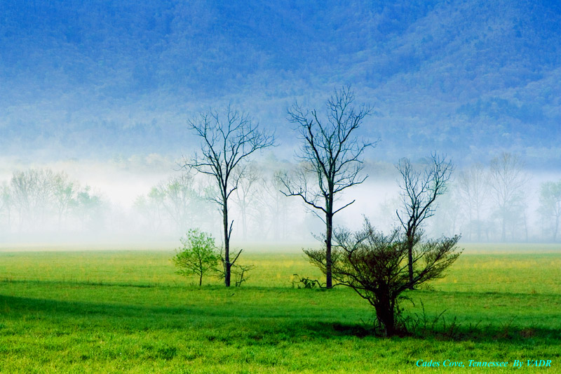 Cades Cove, Tennessee, USA 摄影 yuhan