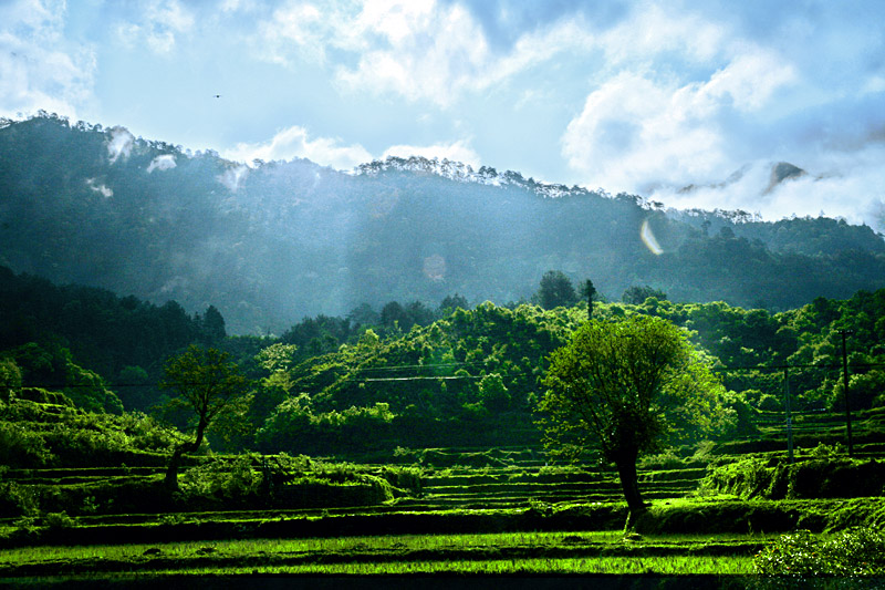 风景 摄影 唐都