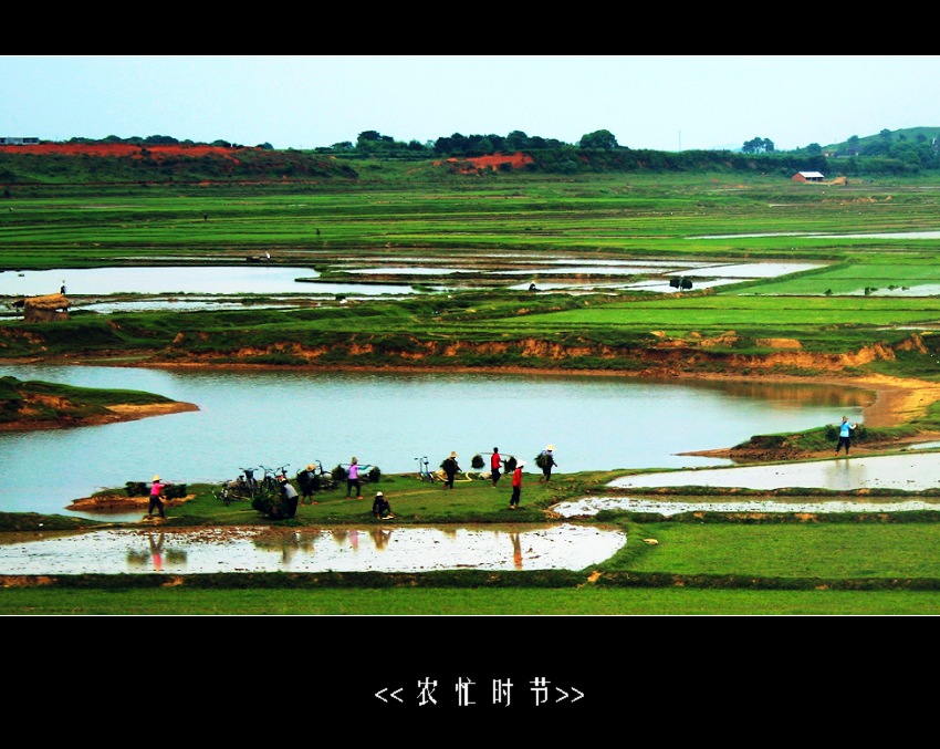 农忙时节 摄影 山林溪水