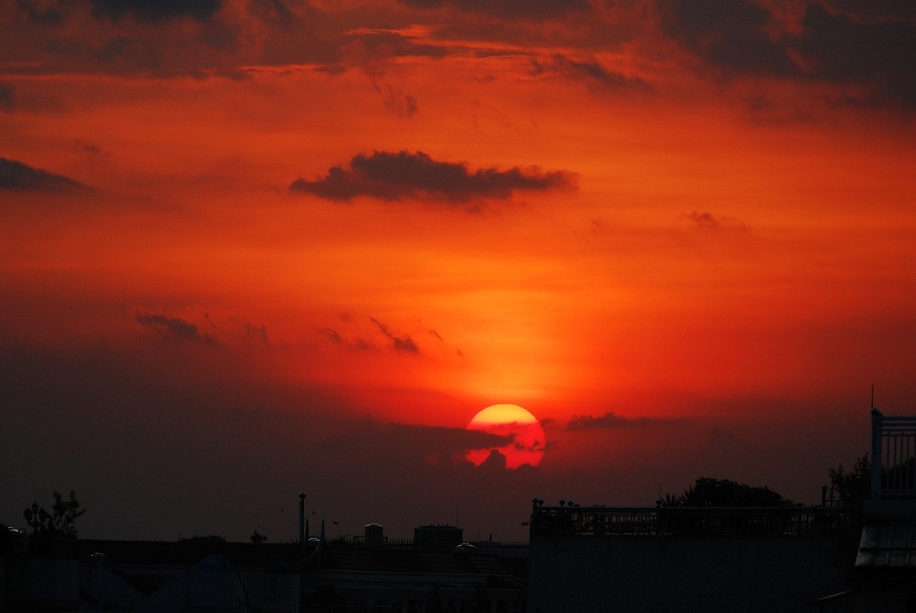 夕阳红 摄影 幽兰飘香