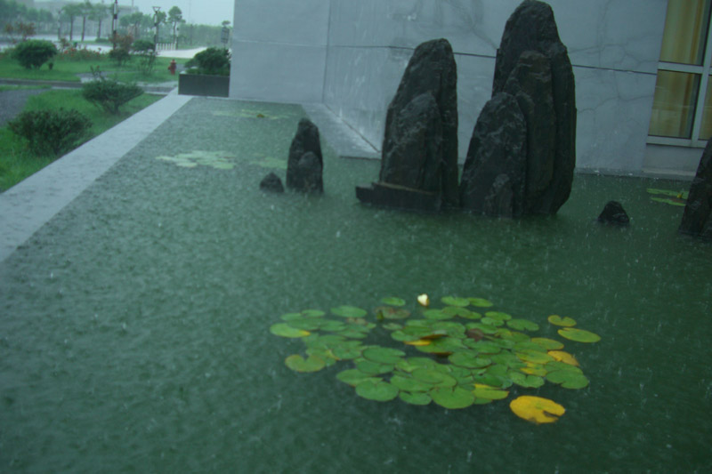 瓢泼大雨 摄影 南京叶子