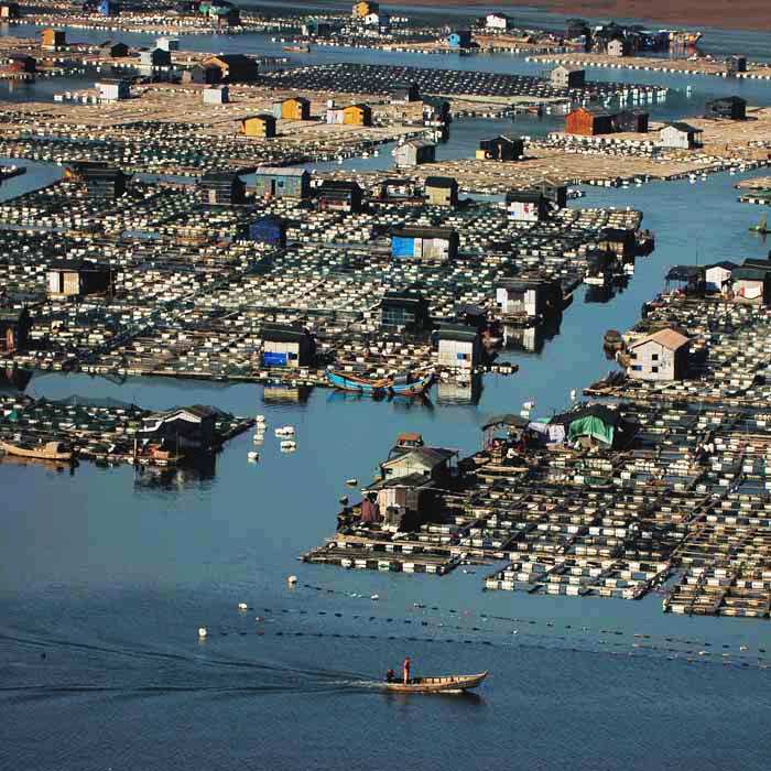 台江海上家园 摄影 寒枫