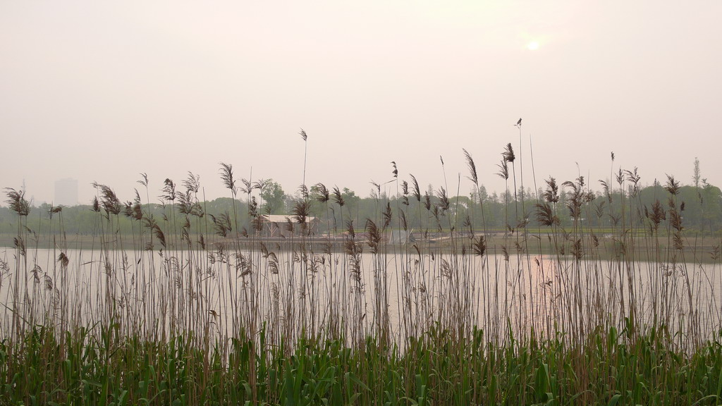 屏障 摄影 guanmu