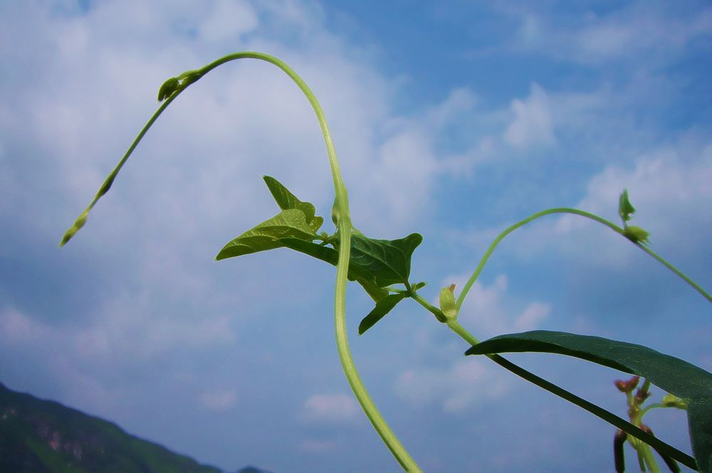 好高婺远 摄影 千岛湖