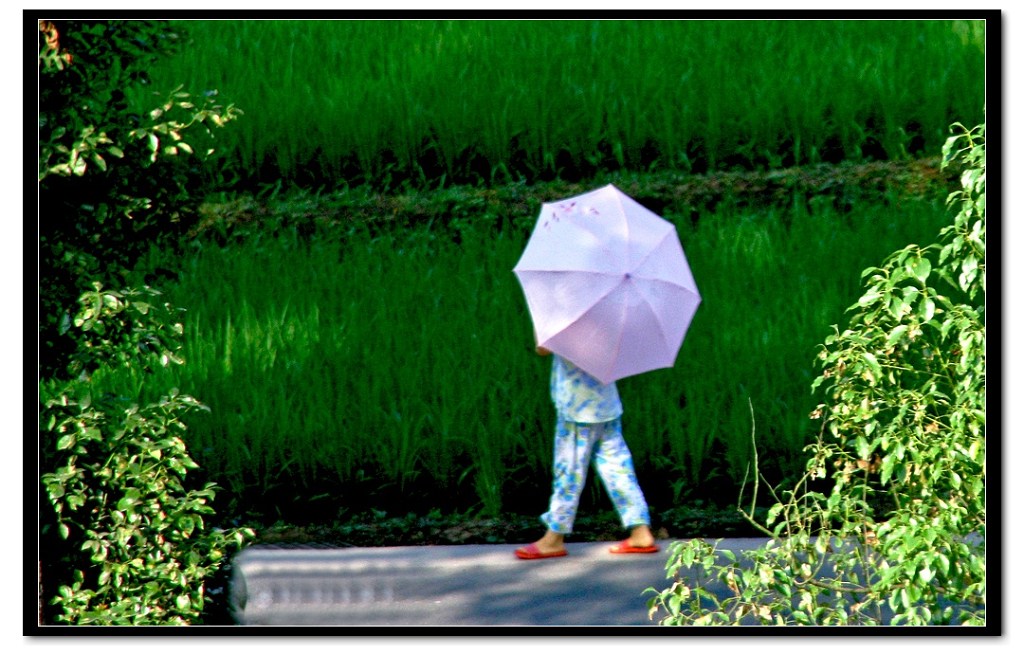 行路匆匆 摄影 云彩之梦