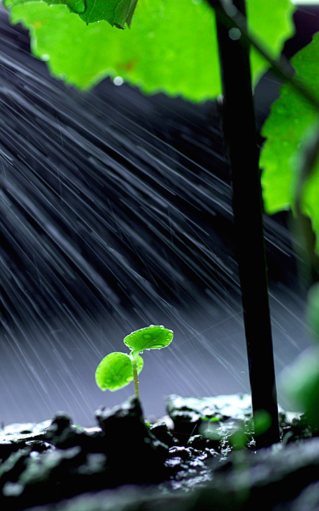 雨 摄影 我是小于