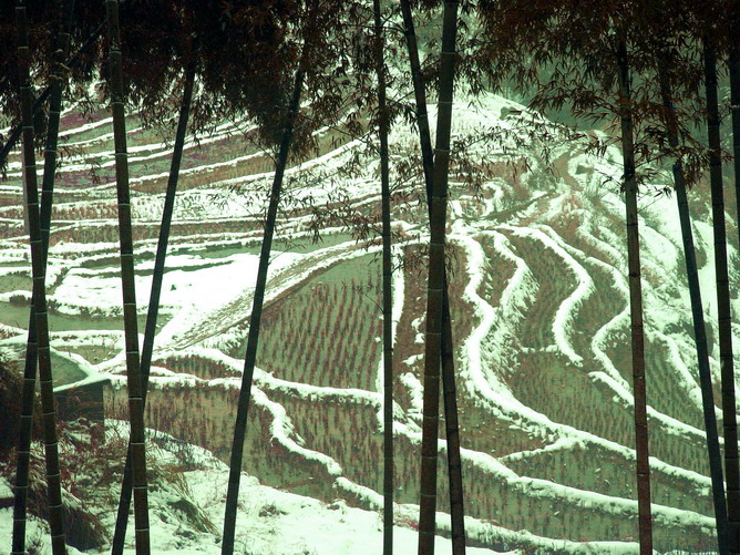 山乡初雪 摄影 游走四方