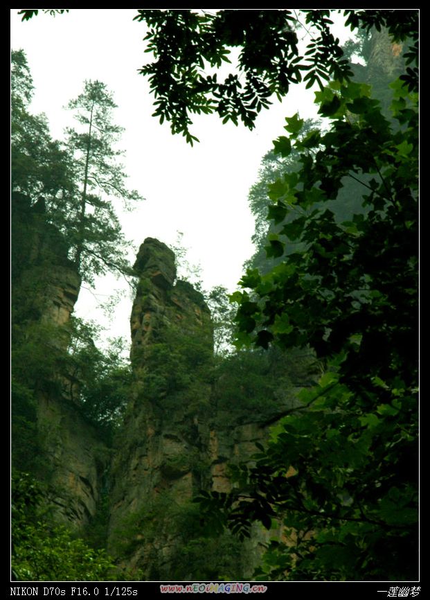 张家界山水-7（十里画廊-送子观音） 摄影 一莲幽梦