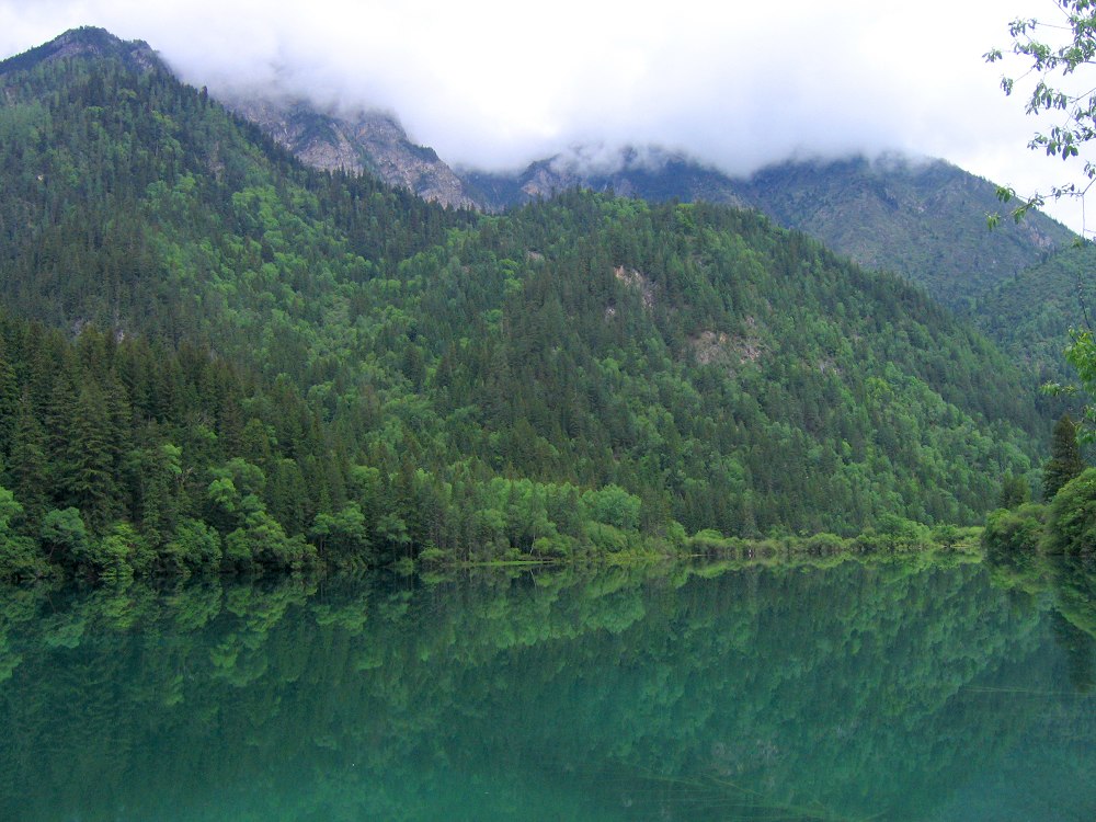 九寨沟风景 摄影 zghpds