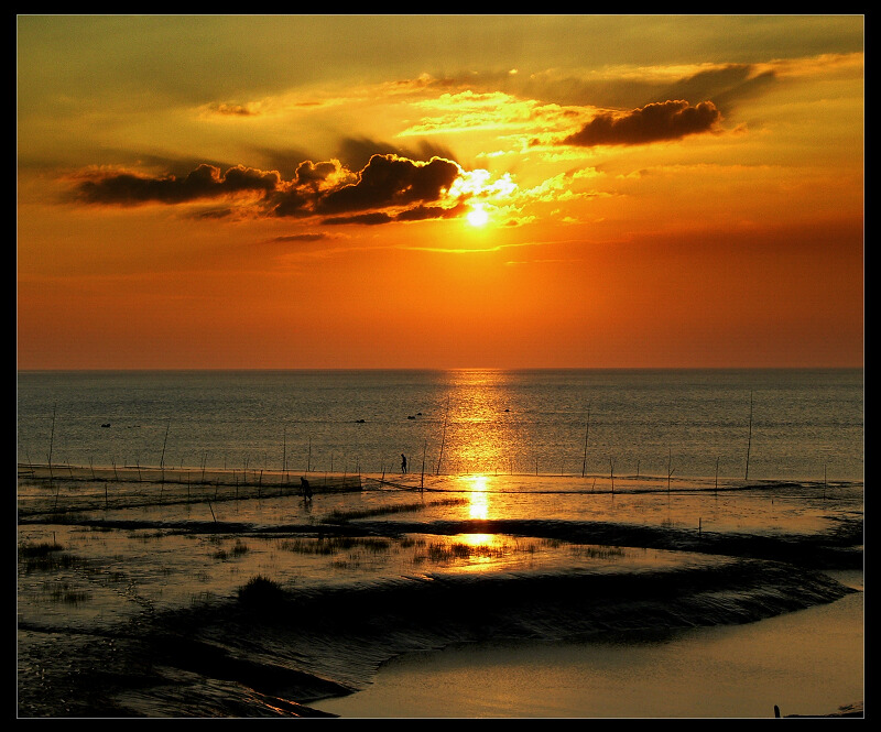 杭州湾夕色 摄影 干干