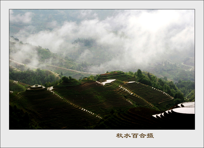 雾漫金坑(三) 摄影 秋水百合