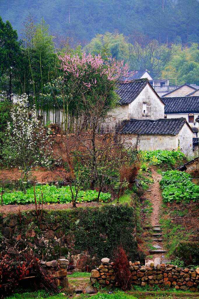 最美的乡村 摄影 shenjizhang