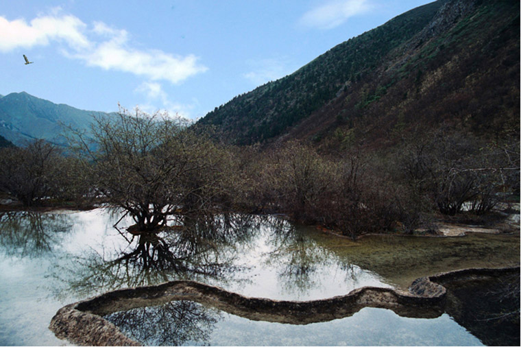 黄龙美景 摄影 wyl510718