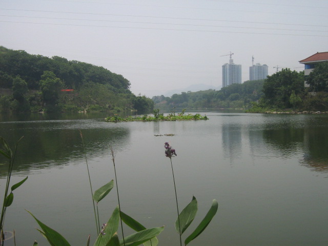 华岩寺风光 摄影 纤夫