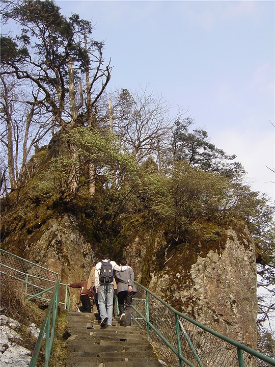 登峨眉山 摄影 阿拉马力