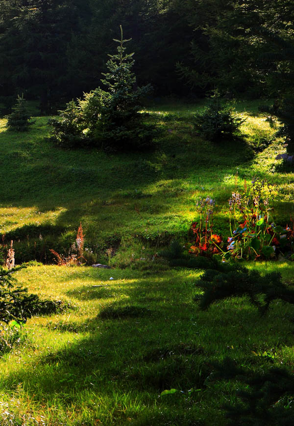 芦芽山风光 摄影 forestphoto