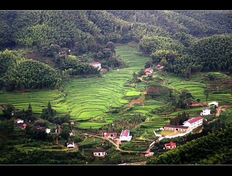 深山里 摄影 深流静水