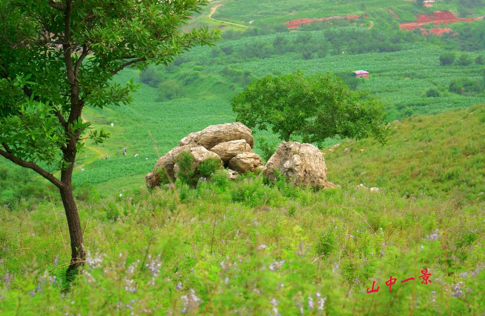 山中一景 摄影 ---飞鹰---