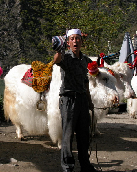 拍张照吧 我饿了 摄影 黄山草