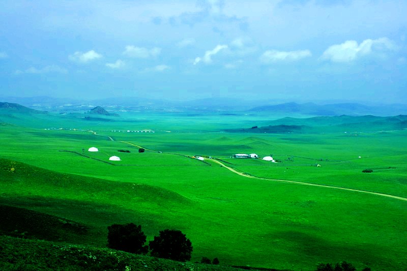 走进塞罕坝 摄影 wenqing