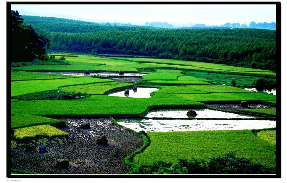 静谧的田园 摄影 行走山水间