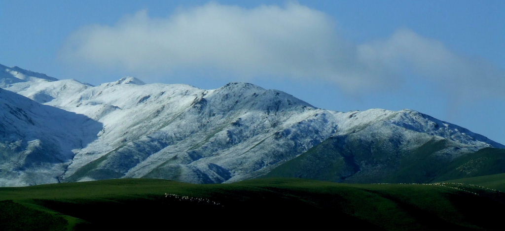 山高羊群小 摄影 漫天飞雪-