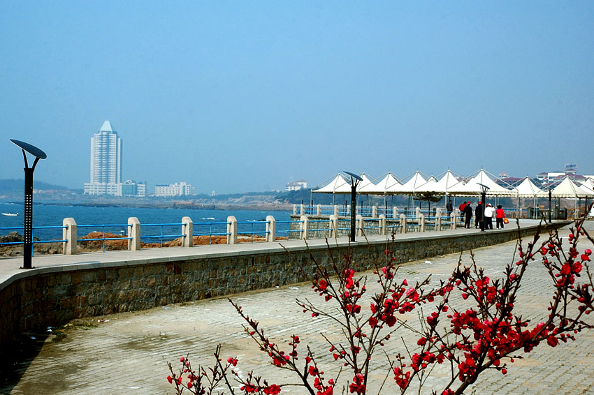 青岛素描            《海滨栈道》 摄影 芍园草