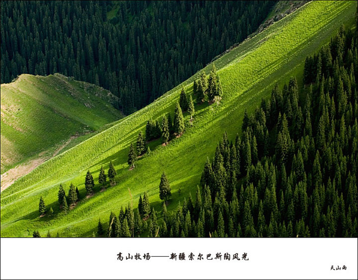 高山牧场——新疆索尔巴斯陶风光 摄影 天山雨