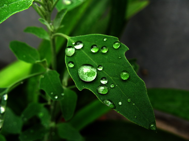 雨后 摄影 长工文美