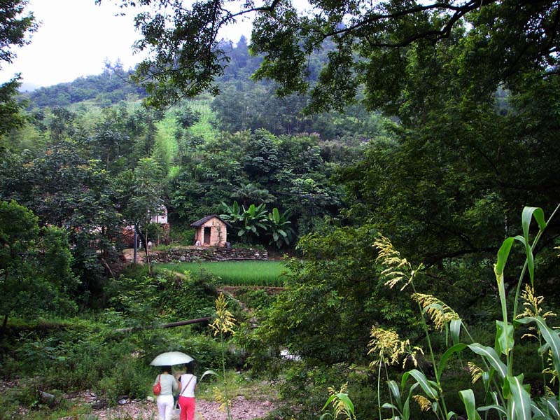 大山深处有人家 摄影 厨师解围腰