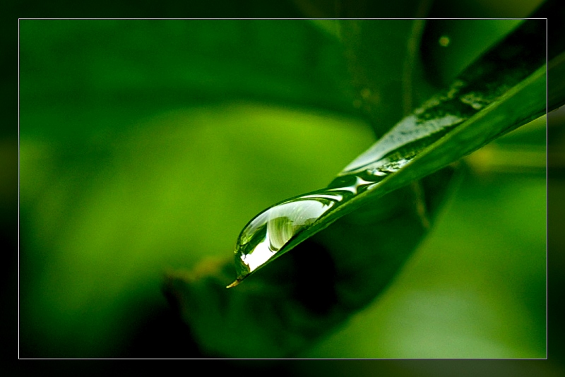 水珠 摄影 烤红芋