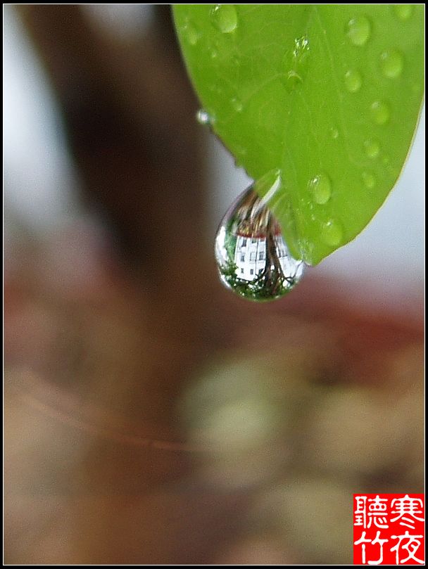 水镜心(三) 摄影 寒夜听竹